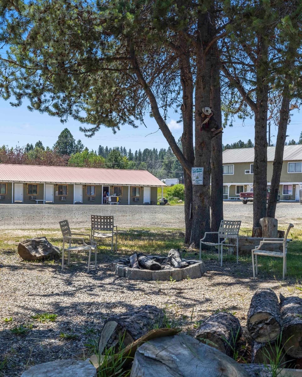 Outdoor firepit ringed by chairs under pine trees at Birch Glen Lodge in Cascade, Idaho